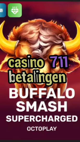 casino 711 betalingen-w4cy2mdjlx2bf.com
